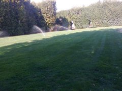 Giardinaggio e Manutenzione