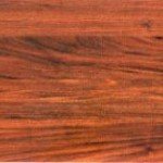 Pavimenti in Legno e Parquet