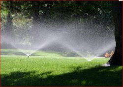 Giardinaggio e Manutenzione