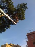 Giardinaggio e Manutenzione