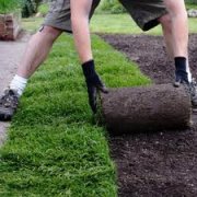 Giardinaggio e Manutenzione