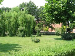 Giardinaggio e Manutenzione